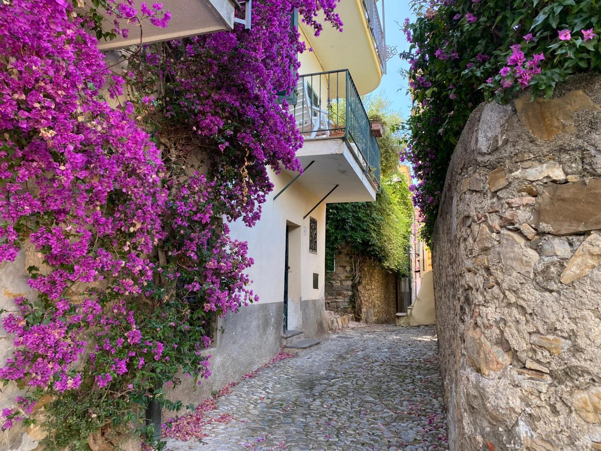 La Finestra Sul Borgo Bed & Breakfast Cervo Exterior photo